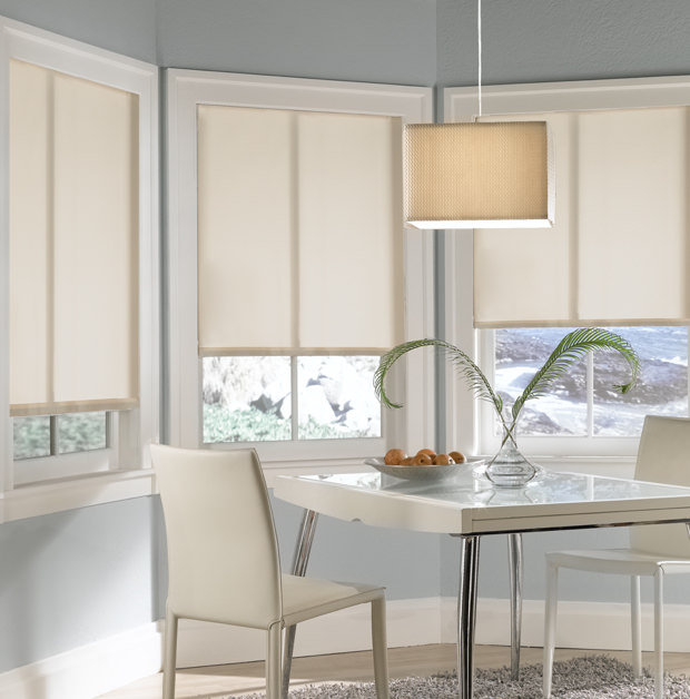 Roller shades in San Diego